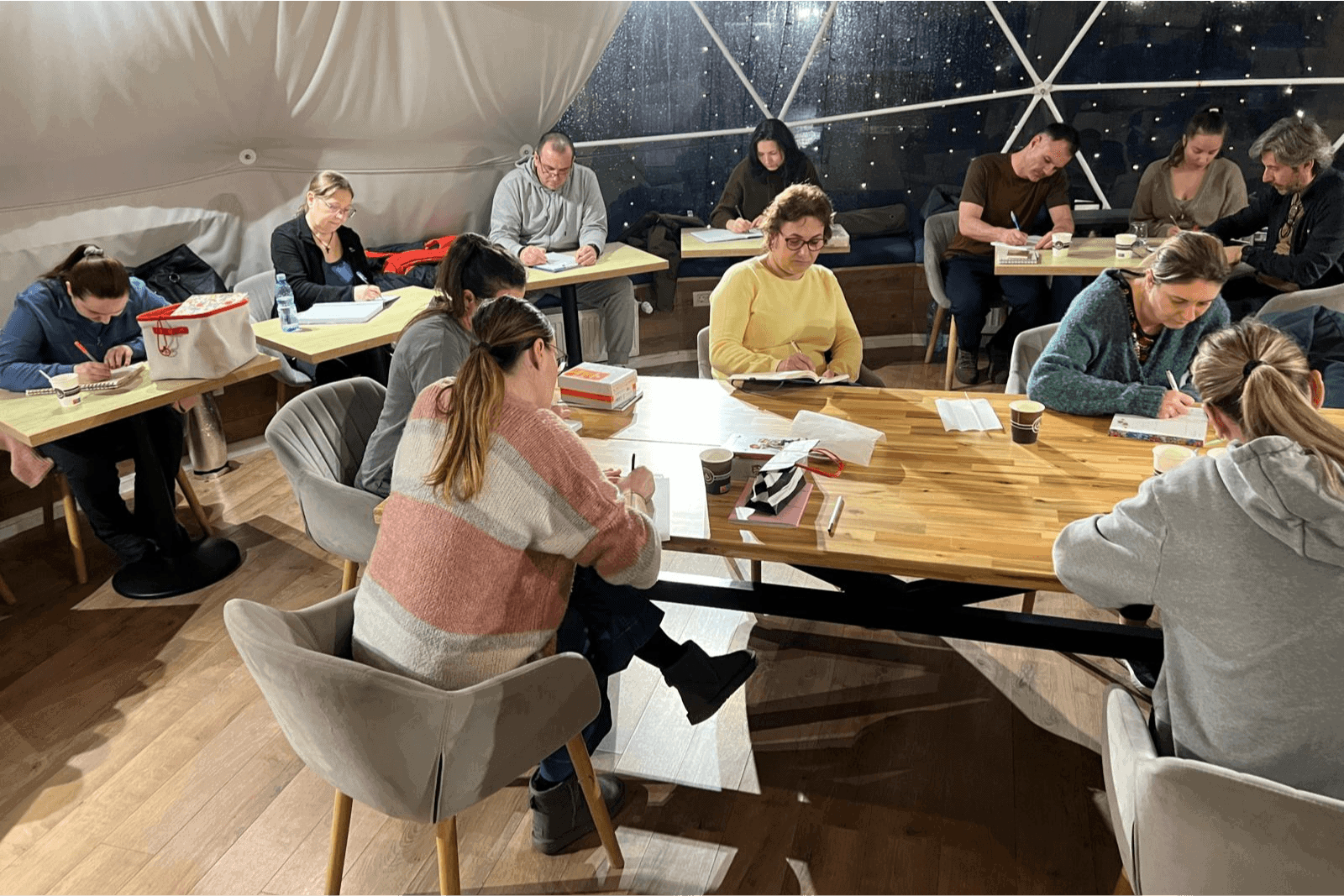 mindshift_academy_mentorat_pentru_viata_pasaport_pentru_succes_psiholog_iulia_buzan_dezvoltare_personala_program