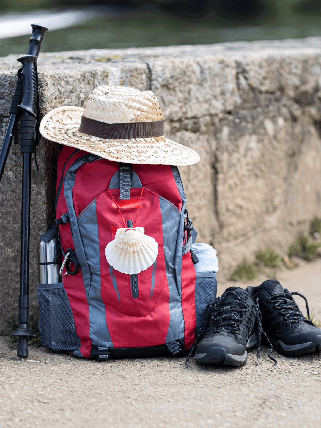 tabara_explorare_interioara_camino_de_santiago_mindshift_academy_